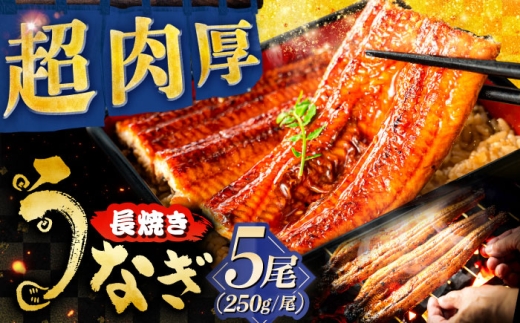 y򕌌򕌎szYȂ̒Ă 5 V   򕌎s / {iYĂȋg [ANHH002]