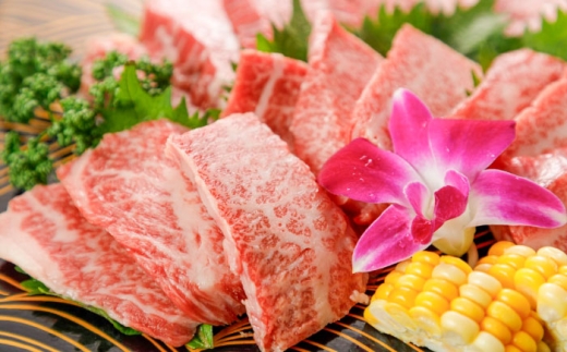 yF{ezzGIF ܂Ƃ ē 500g / ~ i   F{ ezyez(hq)z [BHAZ024]