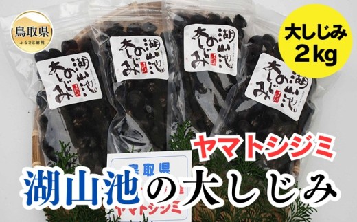 sd1_7264ba79deeb9e90241ff6dd90