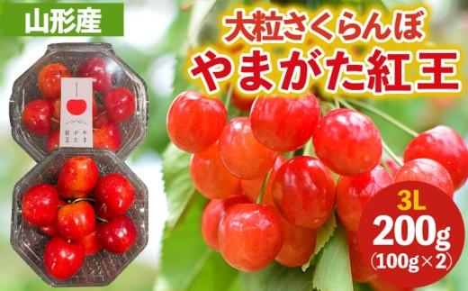 yR`R`sz嗱̂ ܂g 3LTCY 200g (100g×2pbN) yߘa8NYs\zFS25-038