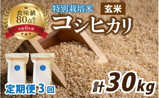 y䌧zOzys\zy3A͂zy ߘa7NY V z V ʍ͔|ăRVqJ ^pbN  10kg(5kg×2)×3 (v30kg)y10{菇zb Ă
