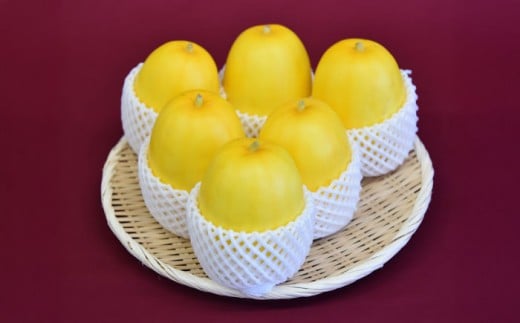 yꌧIszy2026N7{菇z{̖ ̂܂ցi͔|ԒA_Ew엿E͔sgpj/ ܂키 Zbg lߍ킹 VN  { / ꌧ Is /