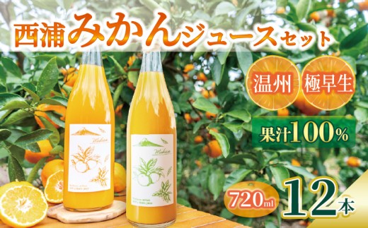 yÉÎszys\_1{zIW W[X Xg[g ʏ` 100 B ɑ ݂ 720ml×12{ ݔ Zbg Y  Z ݕ ~J lC p É 