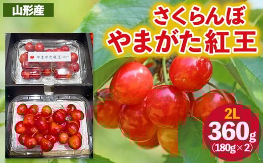 10/10まで！約2kg 秀品 山形県産 シャインマスカット 山形産 シャインマスカット 1.2kg以上 秀 2房入 化粧箱入