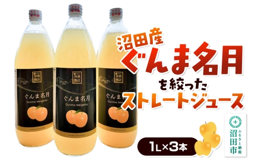 沼田産ぐんま名月だけを搾ったストレートリンゴジュース 3本セット
