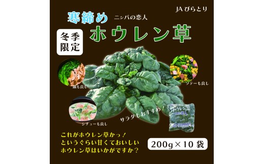 先行予約/2026年12月上旬以降発送】【北海道平取町産】寒締め