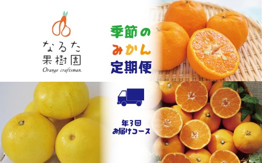 定期便3回】なるた果樹園 みかん 定期便 A ぽんかん 土佐文旦 温州