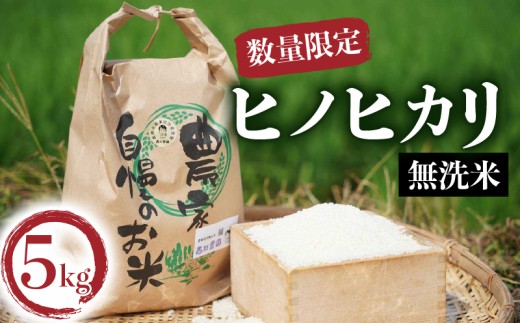 先行予約】 令和7年度産 ヒノヒカリ 一等米 無洗米 5kg 京都 お米 