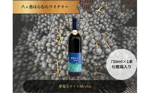 y쌧zx͂ނ烏Ci[ 郏C Merlot  1{  쌧Y[ ~fBA{fB ԃC