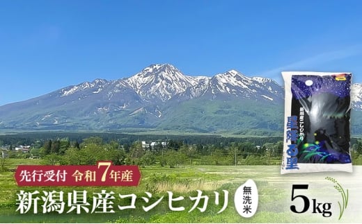 yVzszyߘa7NY |  RVqJz10{菇@ā@VYRVqJ 5kg zs   R 