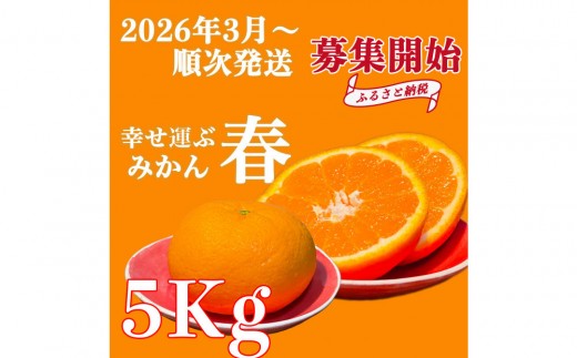 yRzy2026N3菇zRh哇炠Ȃ̊X֍K^ԏt݂s߂ق؁t5kg