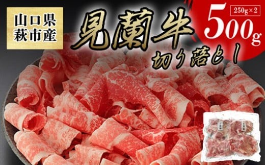 yRszyʌzRsY  ؂藎Ƃ 500g (250g×2)Y    @bHG000068