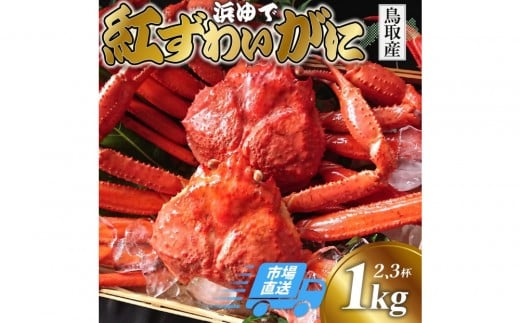 y挧sz悩璼I 䥂 gYCKj1kg(2`3t) Ⓚy{Cz