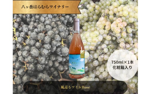 y쌧zx͂ނ烏Ci[ 郏C Rose  1{