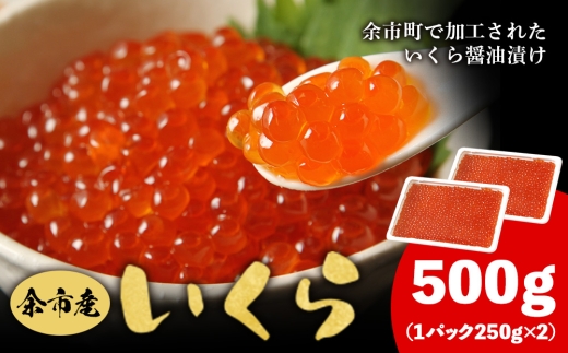 ykC]sz]sY  500g kCY Ⓚ  Ⓚ ݖЂ ϔ 蕨 Mtg H H̗ Ƃ낯H ͂H kC ]s