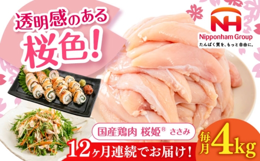 ykC^zyS12ցzP  v4kgi2kg×2pbNjs^ty{t[hЁz P Y{ { { Ƃ  TT~ Ⓚ kC [AXBM075]