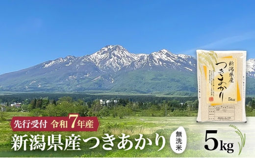 yVzszyߘa7NY |  z10{菇@ā@VY 5kg zs   R 