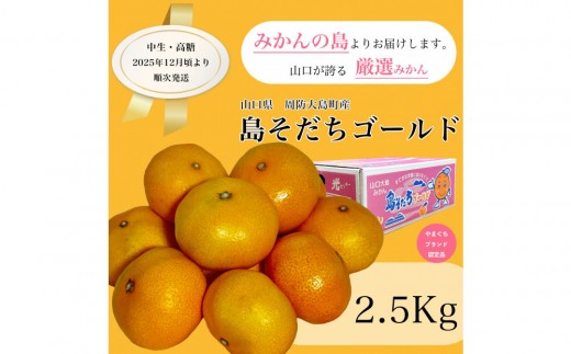 やまぐちブランド認定品】2025年12月頃より順次発送!島そだちゴールド