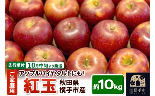 yHcszystz10{蔭 AbvpC^gɂIsY(g) ƒp 10kg