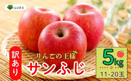 y쌧юRszys\z y󂠂zTӂ 5kg(11?20ʁji2025N12{甭j Tӂ 󂠂 KiO  D] (7-A39-2)