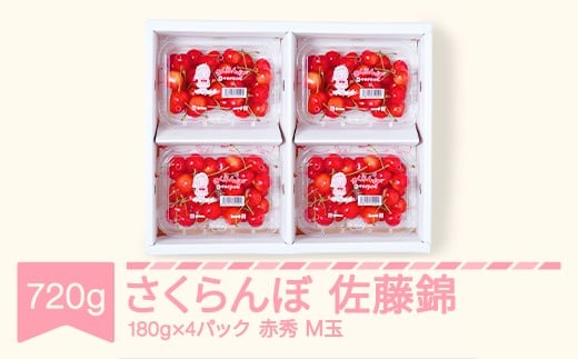 yR`Rszs\   ԏG M180g×4pbN 2026NY ߘa8NY R`Y mm-snpmx800