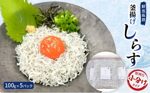 y{ݘacszNxQ g炷100g×5pbN@֗ȏ^Cv [5385-0449]