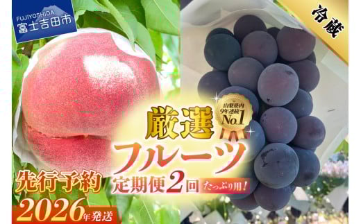 桃 果物 山梨県 2ケース らいなす 桃 果物 山梨県 2ケース らいなす様専用（山梨の桃 お取り寄せ