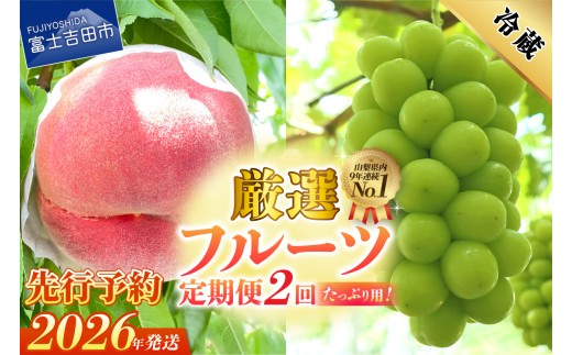 桃 果物 山梨県 2ケース らいなす 桃 果物 山梨県 2ケース らいなす様専用（山梨の桃 お取り寄せ