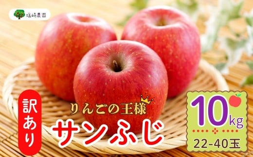y쌧юRszys\z y󂠂zTӂ 10kg(22?40ʁji2025N12{甭j Tӂ 󂠂 KiO  D] (7-A39-3)