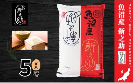 中魚沼産 新之助 玄米 5kg(5kg×1袋) 令和7年産 | しんのすけ 新之助 米