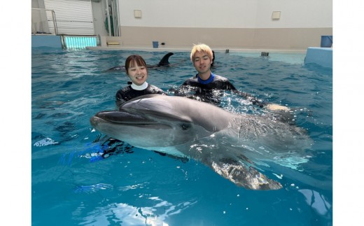 ノアドルフィンドーム ドルフィンスイム体験 ペア入場券付 - 大阪府堺