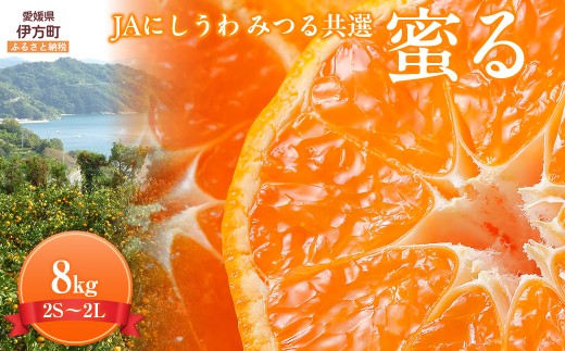 JAにしうわ みつる共選 「蜜る」 8kg（2S～2L）4kg×2箱※離島への配送