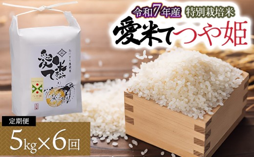 令和7年産先行予約】【6ヶ月定期便】特別栽培米 つや姫 5kg×6