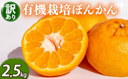 ym{szy\ 2026N2{菇z 󂠂 ۂ񂩂 2.5kg TCY I[KjbN _ h sgp L@ JASF k ݂  ƒp \ Ԍ G