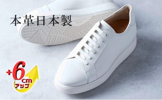 yޗǌaSRszU[Xj[J[ {v Y vX[X JWA amC { [Jbg OH R [XAbv YV[Y No.831 zCg 26.0cm [5990-4095]