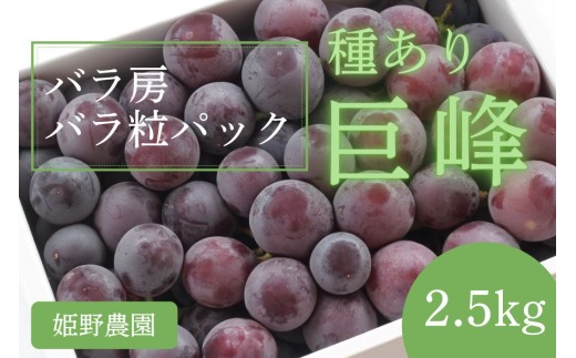 y쌧⑺zy2026Ns\z󂠂 킠苐o[EopbN2.5kg