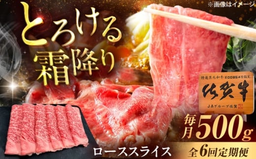 yꌧYszy6ցzꋍ [XXCX ĂEԂԗp 500g /MK~[gY [UEM041]