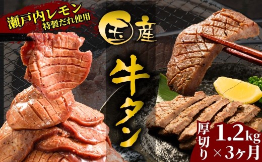 yL|szyYցzY^ ؂ 1.2kg 3 ˓ 쐸X̋^yY   t ē BBQ ʌ ^pbN  Ⓚ