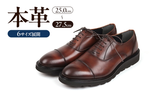 yޗǌaSRsz1288 JWAV[Y Xg[g`bv 3EEBY DBRi_[NuEj@Y t@bV C V[Y {v 25.0cm [5990-4052]