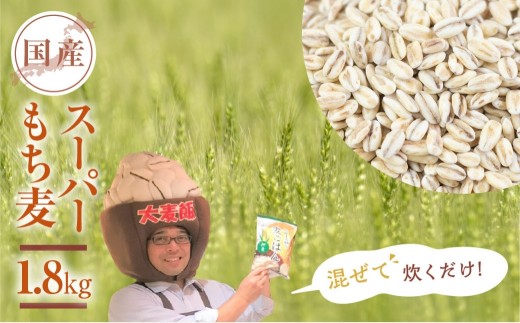豊橋産スーパーもち麦 1.8kg - 愛知県豊橋市｜ふるさとチョイス