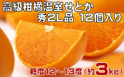 高級 柑橘 温室 せとか 秀品 2L 品 12個入り 約3kg みかん 蜜柑 ミカン
