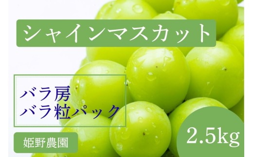 2026年先行予約】訳あり シャインマスカット バラ房・バラ粒パック約