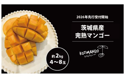 先行予約 2026年8月中旬順次発送】 完熟マンゴー 約 2kg ( 4～8