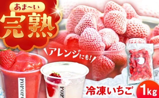 y򕌌bߎszys\zy2026N1{菇zⓀ 1kg /   C`S Ⓚ ⓀC`S Ⓚ / bߎs NGCeBut@[}[Y [AUAH023]