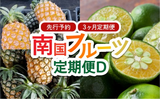 yꌧ|xz2026N s\  3 썑t[c D s[`pC pC V[NT[ v3 ʕ t[c 3 y