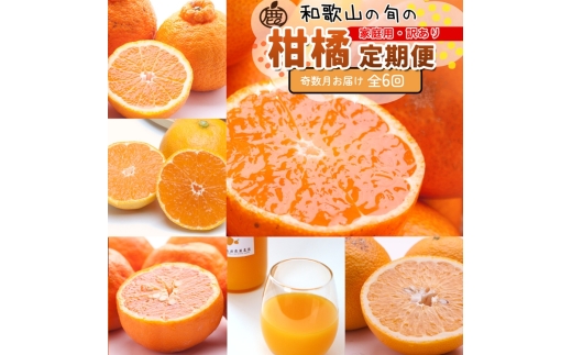 【和歌山県美浜町】【定期便】家庭用 柑橘定期便 M 6回(奇数月)※北海道・沖縄・離島への配送不可※奇数月に発送