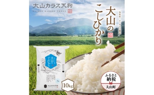 y挧RzKT-02 RJXV R̂Ђ10kg