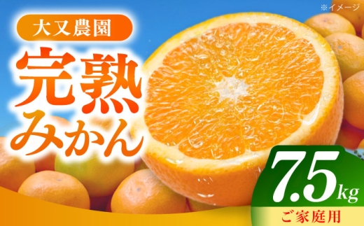 y茧呺szys\E11ȍ~z݂ 7.5kg l 茧Y /k ݂ /呺s 喔_ [ACZO007]