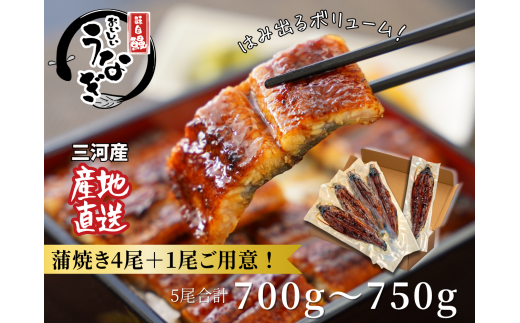ymszO͎YȂuđTCY4+1(v700`750g)vEA202