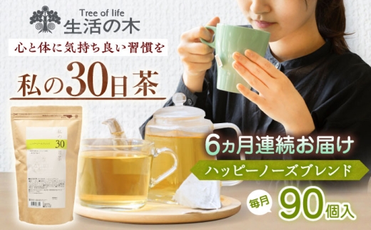 y򕌌Qszy6ցz 30 nbs[m[Yuh 90(90) Qs / ̖ Qt@Ng[ uheB[  [AZBE071]